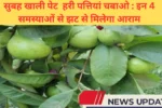 Chews these green leaves empty stomach