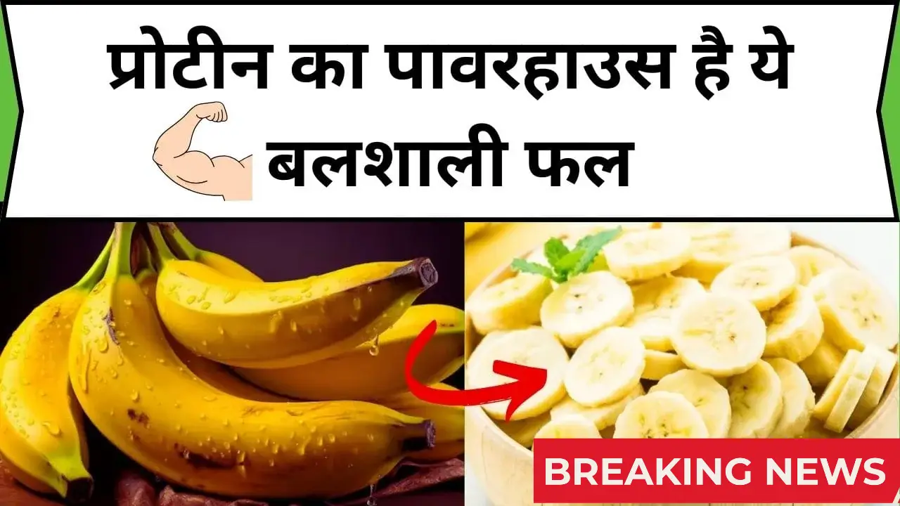 Banana Power 2025