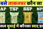 Difference Between DAP TSP SSP NPK Fertilizer