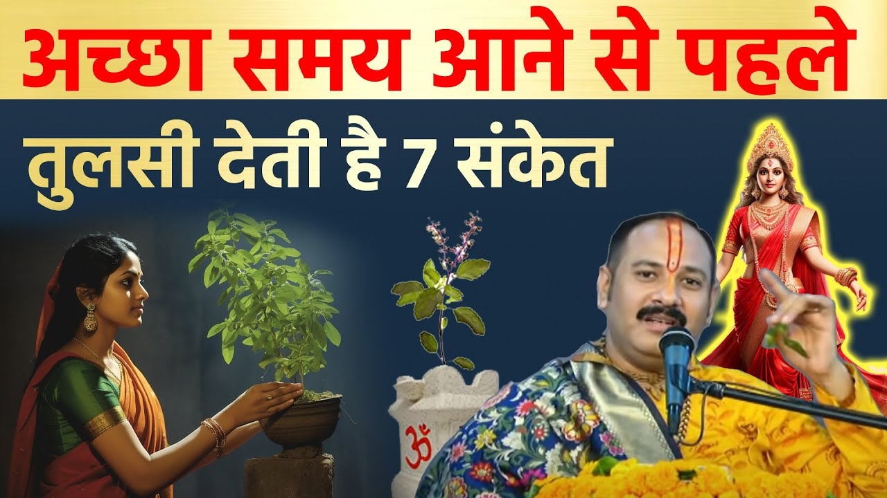 Vastu Tips Tulsi Plant Prosperity